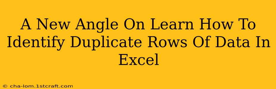 A New Angle On Learn How To Identify Duplicate Rows Of Data In Excel