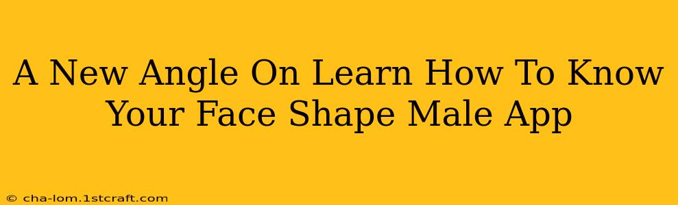 A New Angle On Learn How To Know Your Face Shape Male App