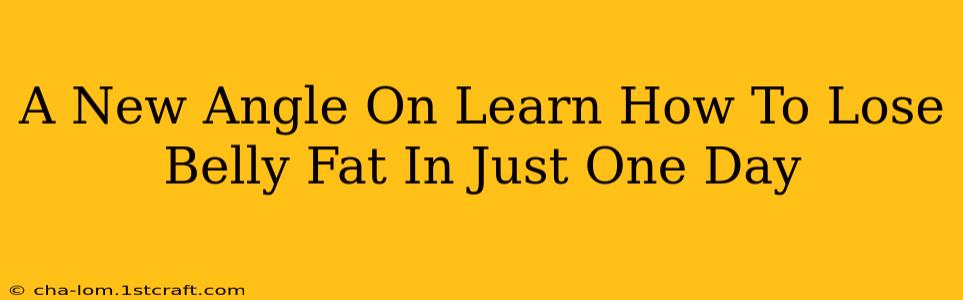 A New Angle On Learn How To Lose Belly Fat In Just One Day