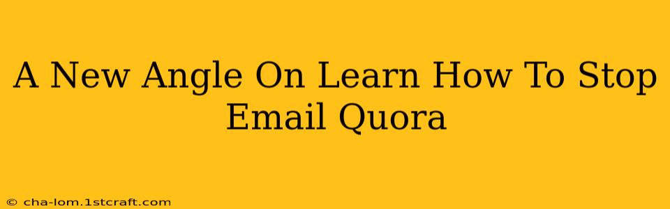 A New Angle On Learn How To Stop Email Quora