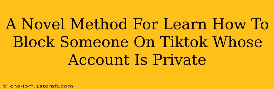 A Novel Method For Learn How To Block Someone On Tiktok Whose Account Is Private