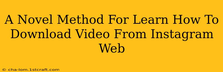 A Novel Method For Learn How To Download Video From Instagram Web