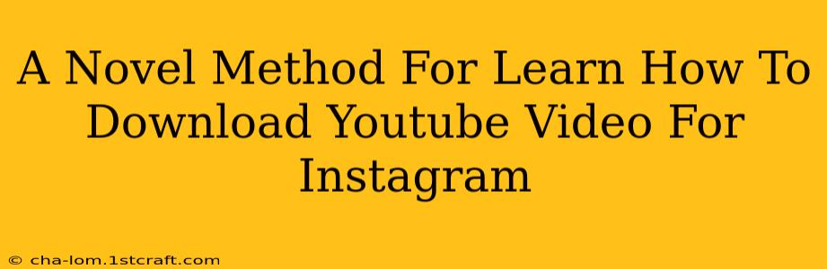 A Novel Method For Learn How To Download Youtube Video For Instagram