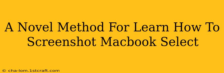 A Novel Method For Learn How To Screenshot Macbook Select