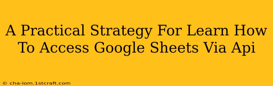 A Practical Strategy For Learn How To Access Google Sheets Via Api