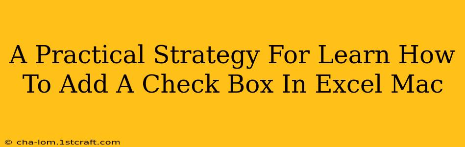 A Practical Strategy For Learn How To Add A Check Box In Excel Mac