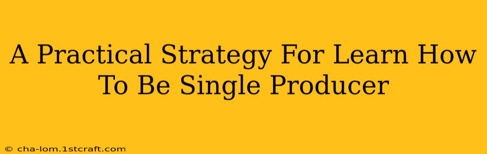 A Practical Strategy For Learn How To Be Single Producer