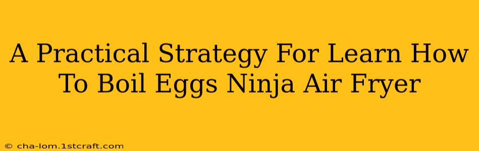 A Practical Strategy For Learn How To Boil Eggs Ninja Air Fryer