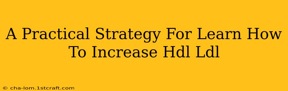 A Practical Strategy For Learn How To Increase Hdl Ldl