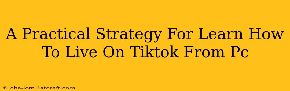 A Practical Strategy For Learn How To Live On Tiktok From Pc