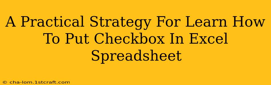 A Practical Strategy For Learn How To Put Checkbox In Excel Spreadsheet