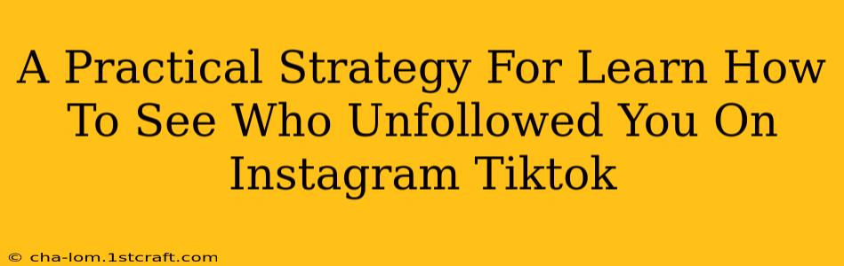 A Practical Strategy For Learn How To See Who Unfollowed You On Instagram Tiktok