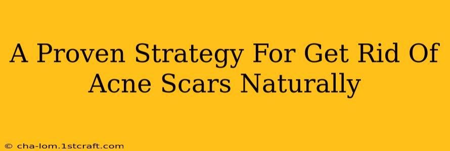 A Proven Strategy For Get Rid Of Acne Scars Naturally