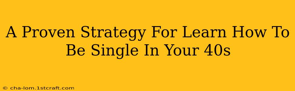 A Proven Strategy For Learn How To Be Single In Your 40s