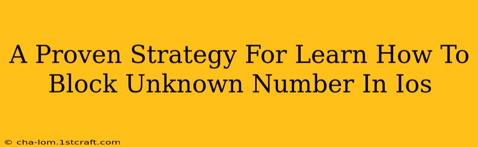 A Proven Strategy For Learn How To Block Unknown Number In Ios