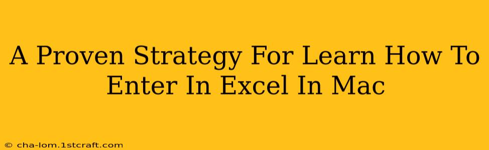 A Proven Strategy For Learn How To Enter In Excel In Mac