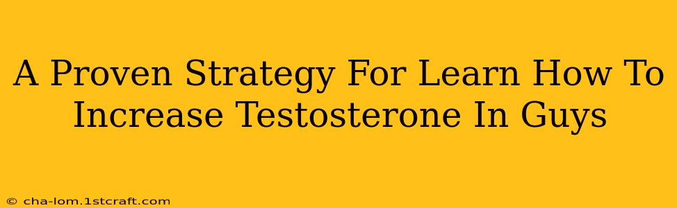 A Proven Strategy For Learn How To Increase Testosterone In Guys