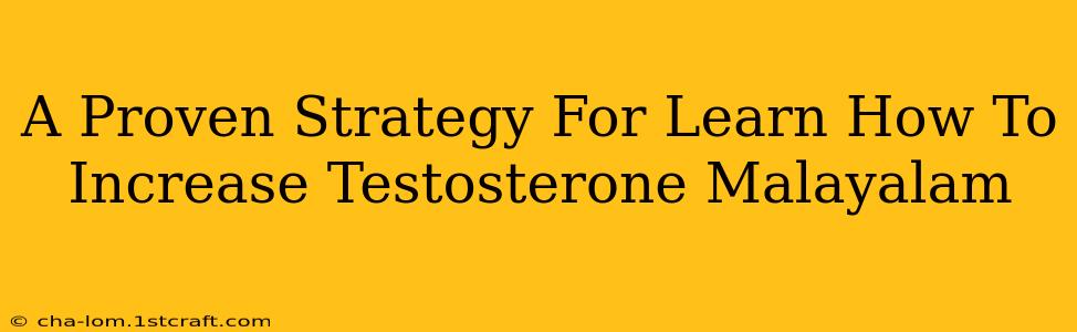 A Proven Strategy For Learn How To Increase Testosterone Malayalam