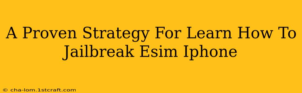 A Proven Strategy For Learn How To Jailbreak Esim Iphone