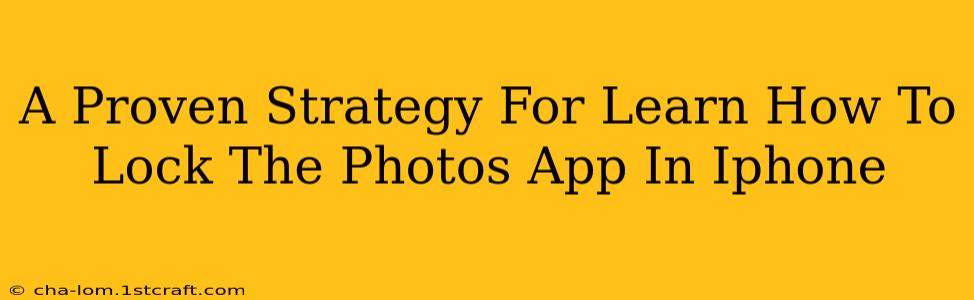 A Proven Strategy For Learn How To Lock The Photos App In Iphone