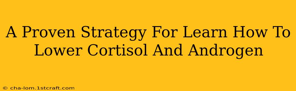 A Proven Strategy For Learn How To Lower Cortisol And Androgen