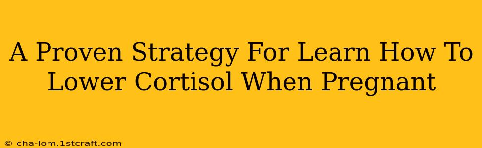 A Proven Strategy For Learn How To Lower Cortisol When Pregnant