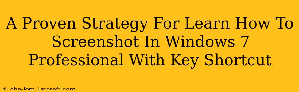 A Proven Strategy For Learn How To Screenshot In Windows 7 Professional With Key Shortcut