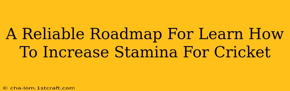 A Reliable Roadmap For Learn How To Increase Stamina For Cricket