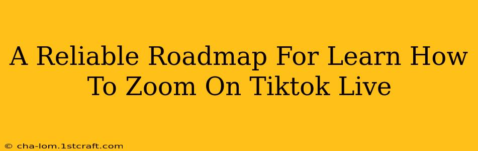 A Reliable Roadmap For Learn How To Zoom On Tiktok Live