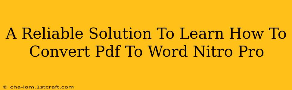 A Reliable Solution To Learn How To Convert Pdf To Word Nitro Pro