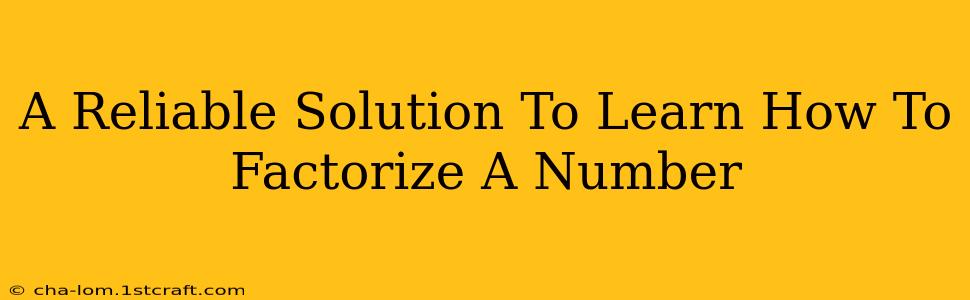 A Reliable Solution To Learn How To Factorize A Number