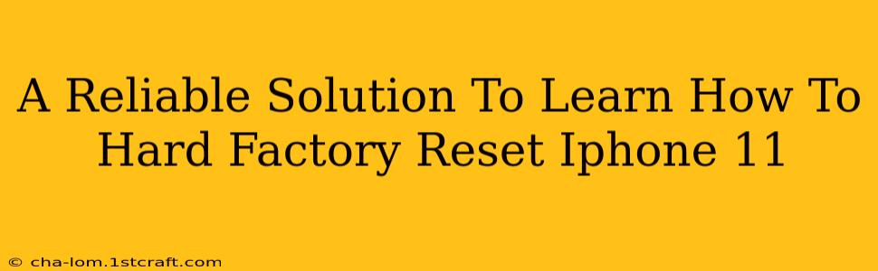 A Reliable Solution To Learn How To Hard Factory Reset Iphone 11