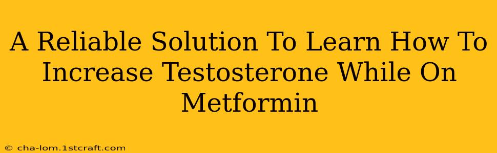 A Reliable Solution To Learn How To Increase Testosterone While On Metformin