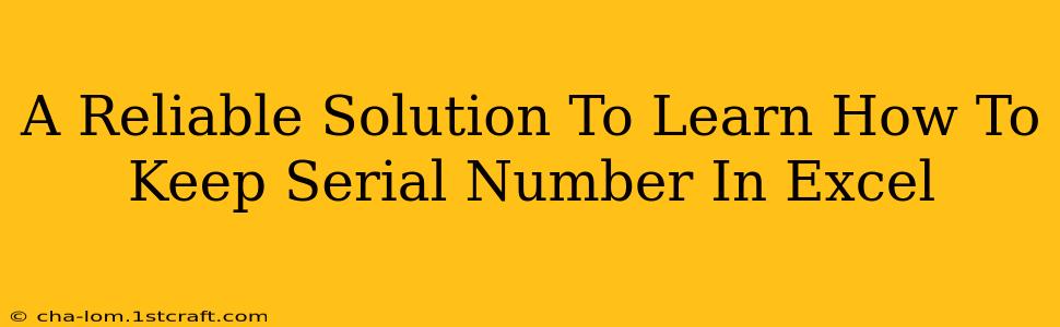 A Reliable Solution To Learn How To Keep Serial Number In Excel