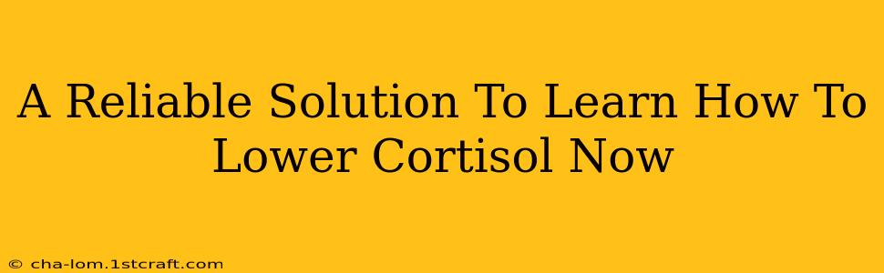 A Reliable Solution To Learn How To Lower Cortisol Now