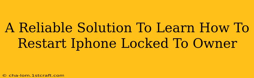 A Reliable Solution To Learn How To Restart Iphone Locked To Owner