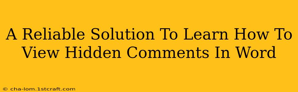 A Reliable Solution To Learn How To View Hidden Comments In Word