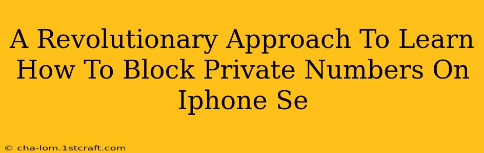 A Revolutionary Approach To Learn How To Block Private Numbers On Iphone Se