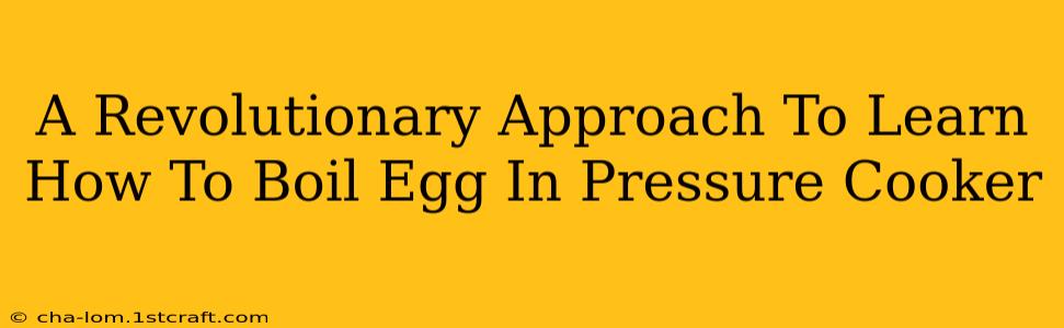 A Revolutionary Approach To Learn How To Boil Egg In Pressure Cooker