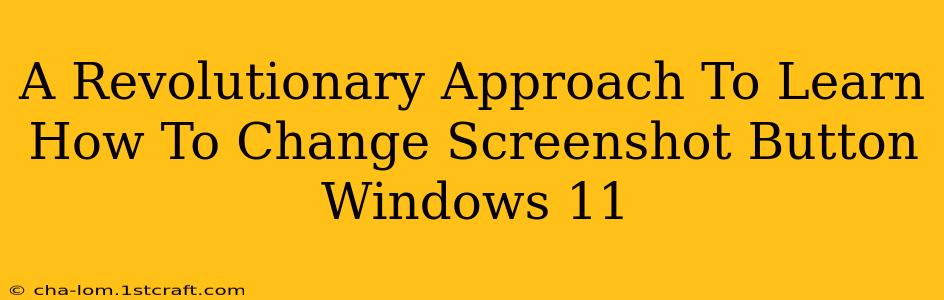 A Revolutionary Approach To Learn How To Change Screenshot Button Windows 11