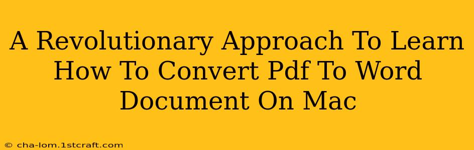 A Revolutionary Approach To Learn How To Convert Pdf To Word Document On Mac