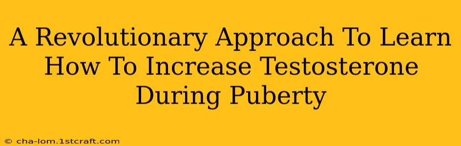 A Revolutionary Approach To Learn How To Increase Testosterone During Puberty