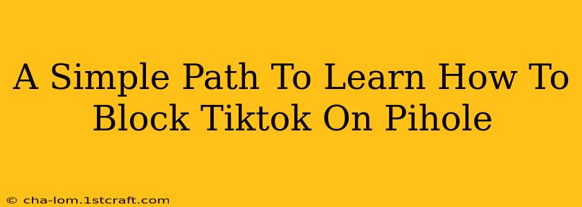 A Simple Path To Learn How To Block Tiktok On Pihole