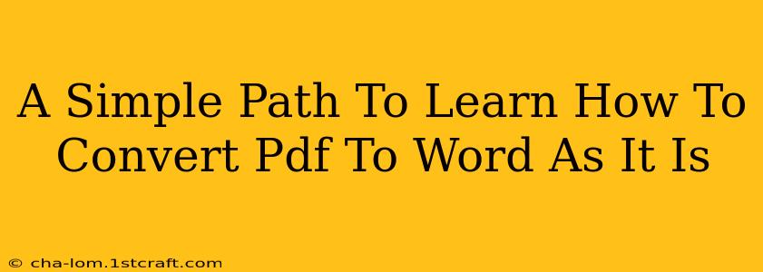 A Simple Path To Learn How To Convert Pdf To Word As It Is