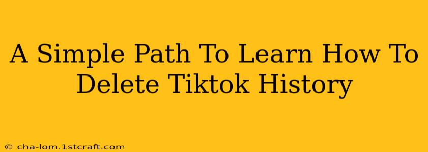 A Simple Path To Learn How To Delete Tiktok History