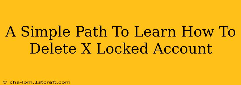 A Simple Path To Learn How To Delete X Locked Account