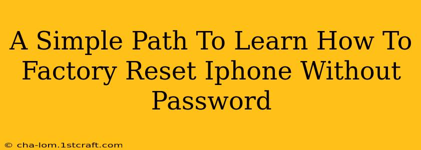 A Simple Path To Learn How To Factory Reset Iphone Without Password