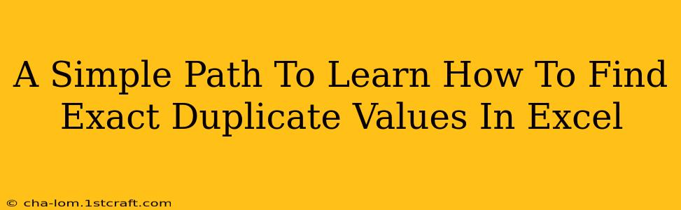 A Simple Path To Learn How To Find Exact Duplicate Values In Excel