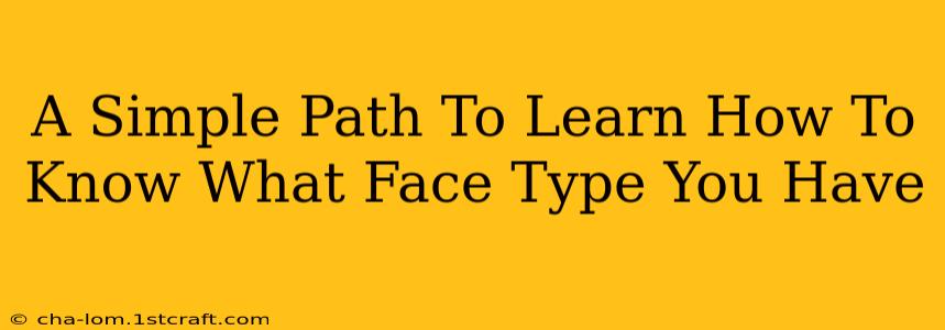 A Simple Path To Learn How To Know What Face Type You Have