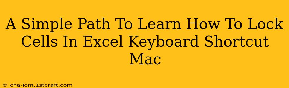 A Simple Path To Learn How To Lock Cells In Excel Keyboard Shortcut Mac